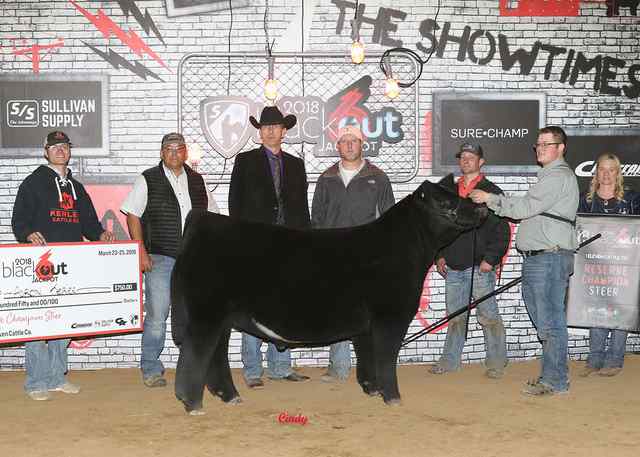 Reserve Champion Steer