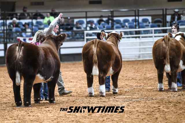 NFL Playoff Contest from The Showtimes Jr. Livestock Magazine