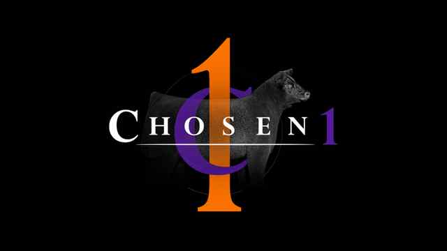 Chosen 1