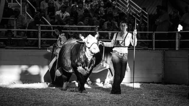Illinois State Fair Canceled