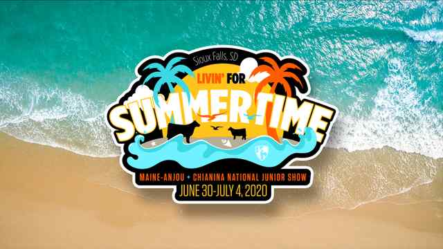 Livin' for Summertime Logo Design