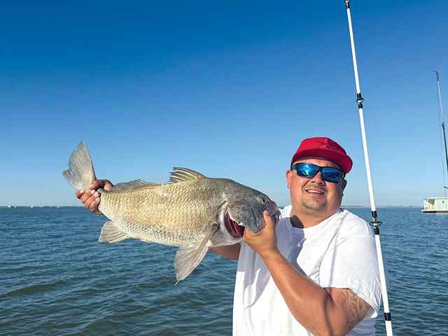 Mark Salgado Baffin Bay - 32" black drum, caught on dead shrimp