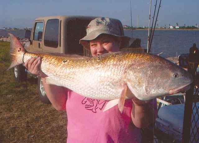 Ardy Bare Freeport41.5&quot; redfish