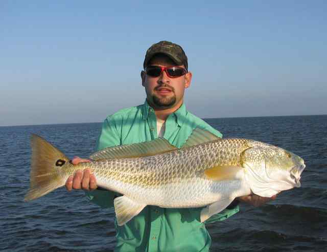 Joe Maldonado Lower Laguna Madre35&quot; redfish