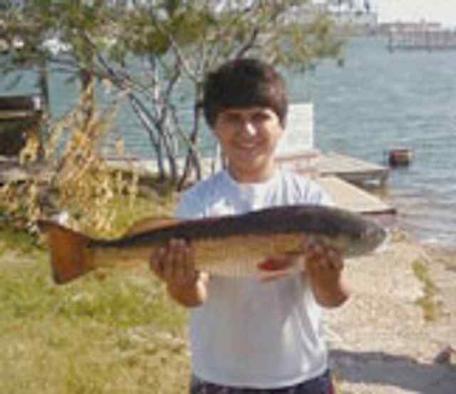 Gastin Montemayor Mexiquita Flats26&quot; redfish