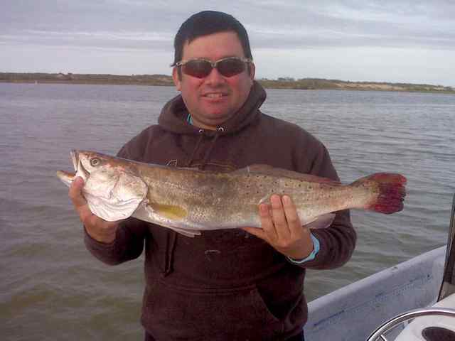Augustin Perez Arroyo City26.5&quot; trout
