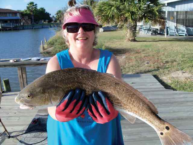 Jo Snider Salt Lake25&quot; redfish