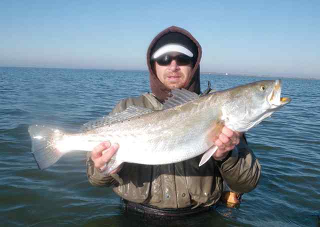Pat Stafford Baffin Bay31&quot; 9lb personal best trout!