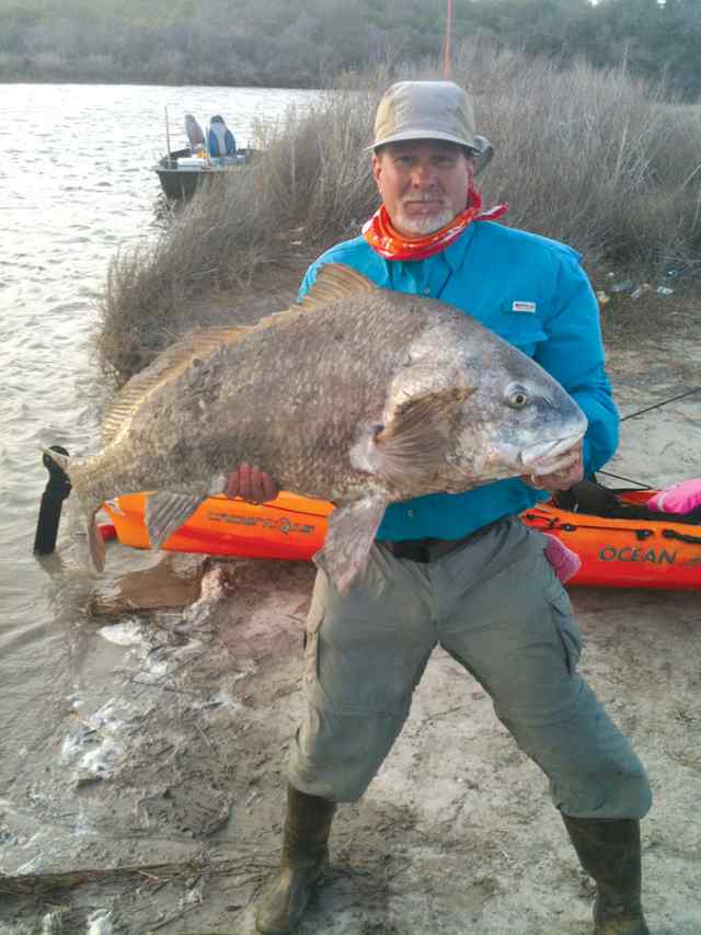 Bill Clark Placedo Creekfirst big black drum from kayak!
