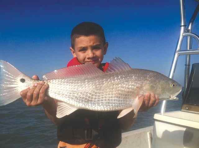Jacob Ryan Fonseca Arroyo Cityredfish