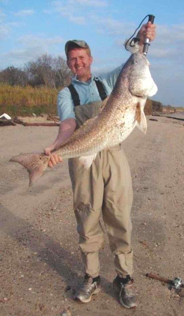 Ben Maxwell Sea Wolf Park43&quot; bull red