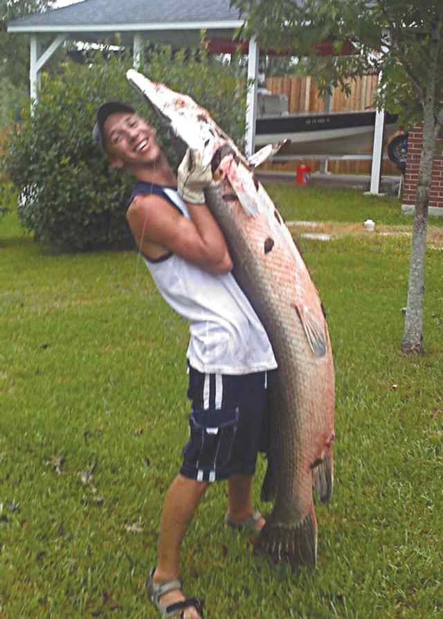 Alan Parker Trinity Bay6' 3&quot; alligator gar