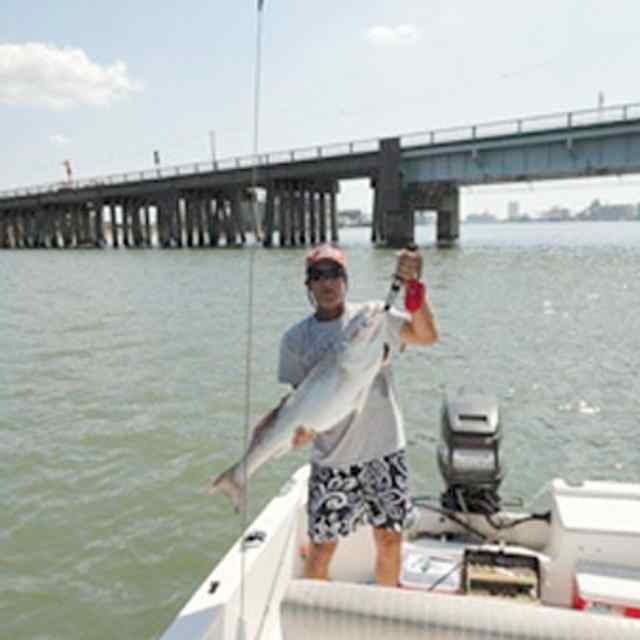 Steven Wheeler Galvestonred CPR