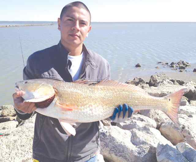 Edgar Chavez McCollum Park41&quot; bull red