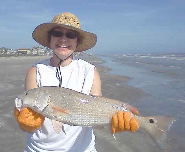 Lisa Hahn Galveston
  25&quot; redfish