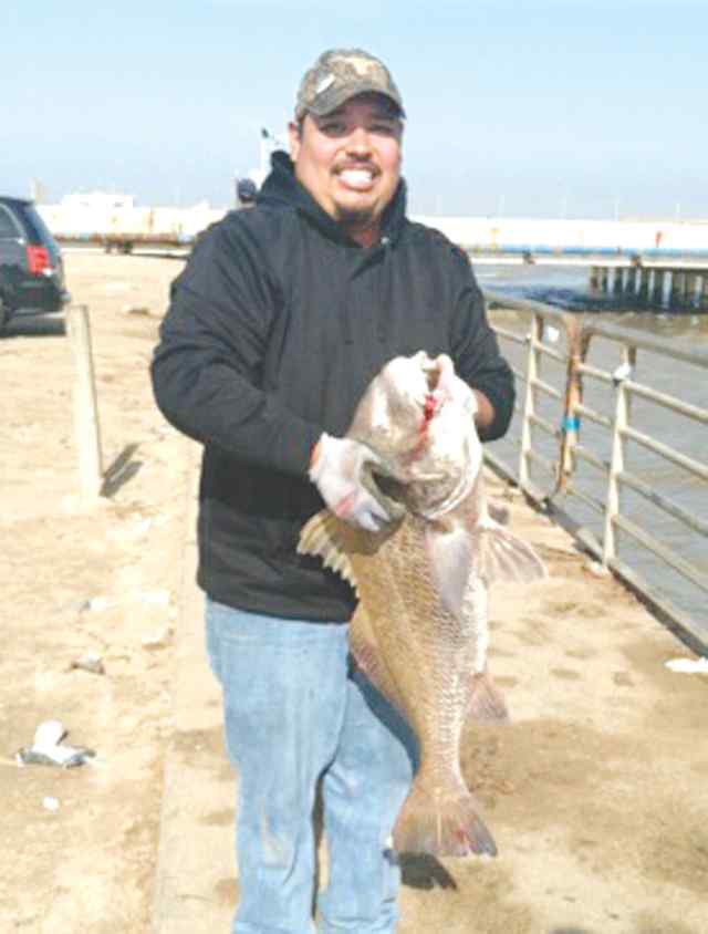 Blas Rodriguez Rollover Pass34&quot; black drum