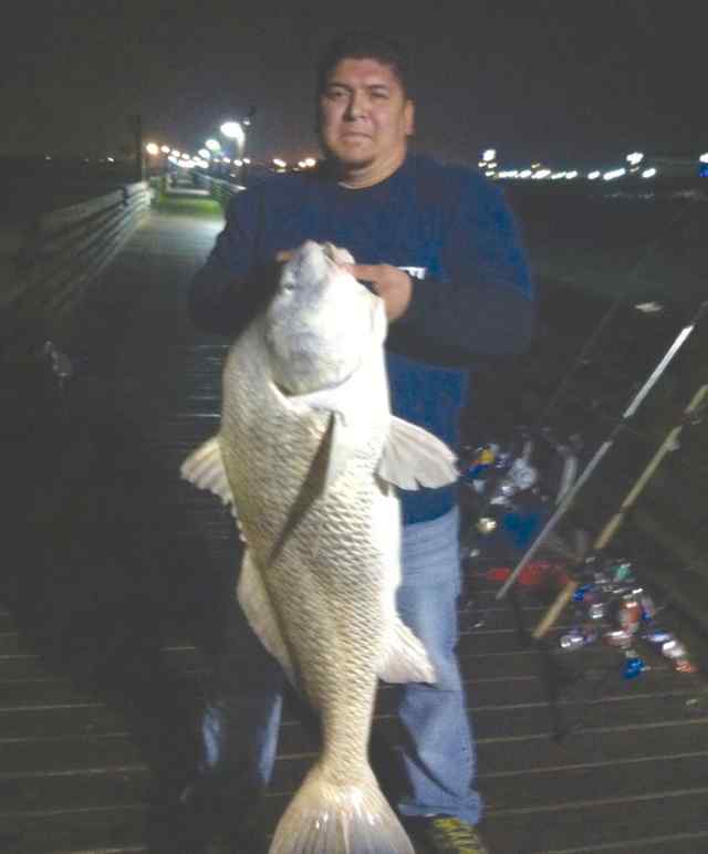 Freddie Sanchez 41.5&quot; 40lb black drum