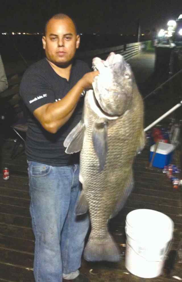 Ray Vigil 42&quot; 45lb black drum