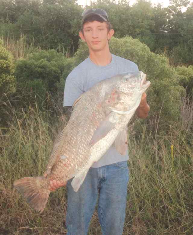 David Wigley Pleasure Island45+lb black drum