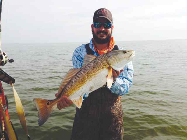 Michael Breda Port Mansfield28&quot; 9lb redfish
