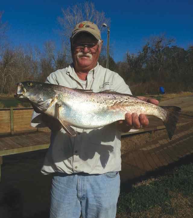 John Dent Freeport27&quot; trout