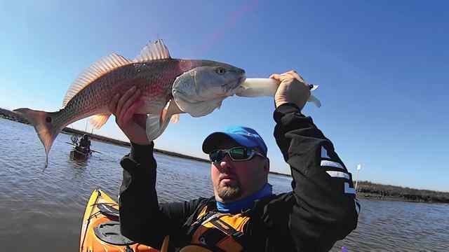 James Halsell Sabine Pass27&quot; redfish