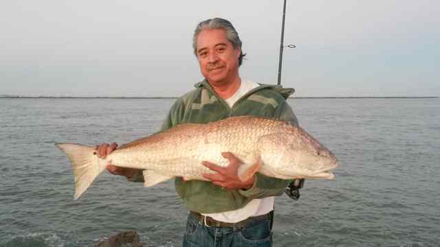 Israel Peña Port Aransas41&quot; bull red