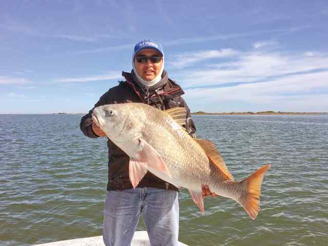 Robert Torres Upper Laguna Madre42&quot;+ black drum