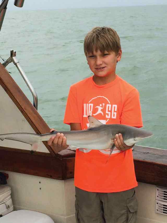 Weston Pomykal Galvestonblacktip shark