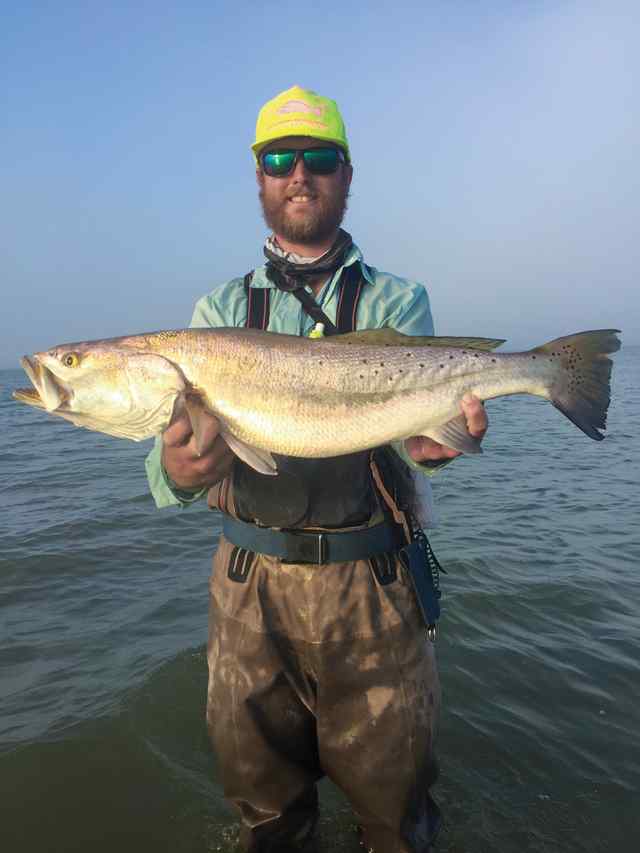 Tyler Parker Matagorda - 29" 8.5 lb trout, caught on a floating corky fat boy using a Lewis reel and G-Loomis NRX rod