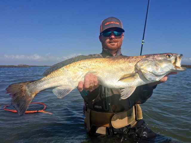Dustin Zapalac Matagorda - 30.75" 9.75 lb trout CPR