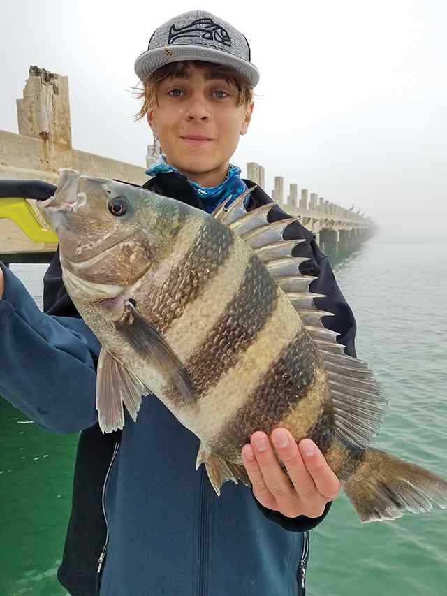 Noah Grady Port Isabel - 23" sheepshead