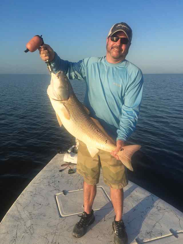 John Miko East Bay - bull red