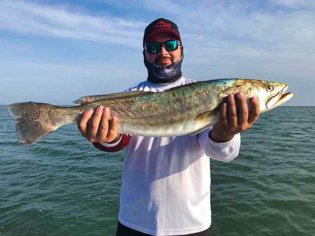 Guillermo Munguia Port Mansfield - 29" speckled trout