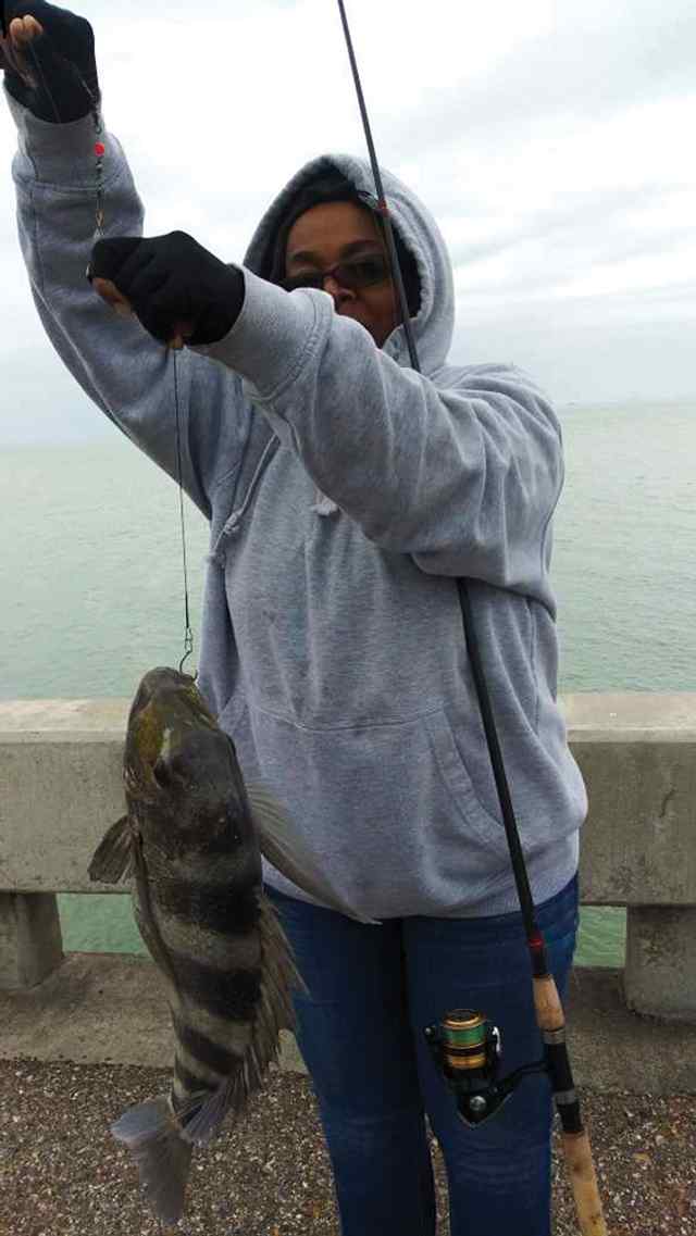 Latrenda Smith OSO Bay (Corpus Christi) - 21" sheepshead