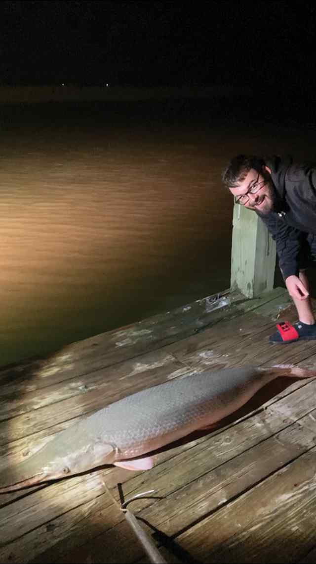 Stefan Lemire Chinquapin (East Matagorda Bay) - 5.5' alligator gar