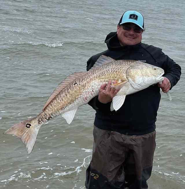 Gabriel Rocha Matagorda - 44" bull red CPR
