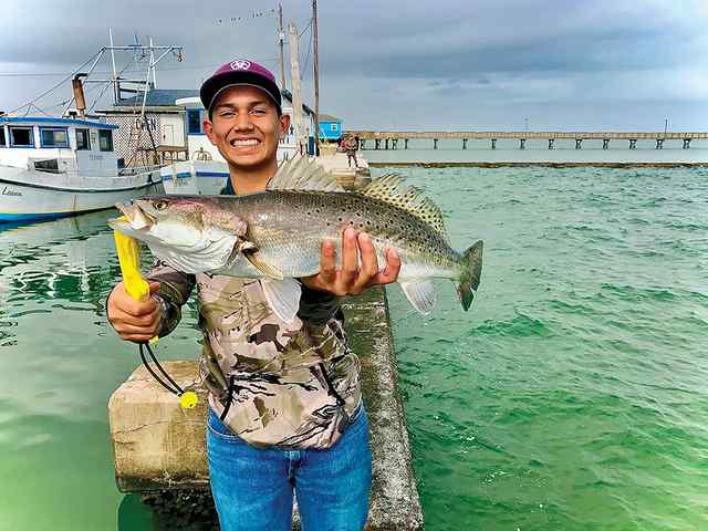 Carlos Talamantes Rockport Fulton - 24" trout