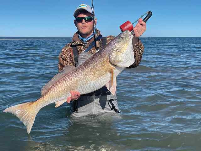 Brian Davis redfish, caught sight fishing