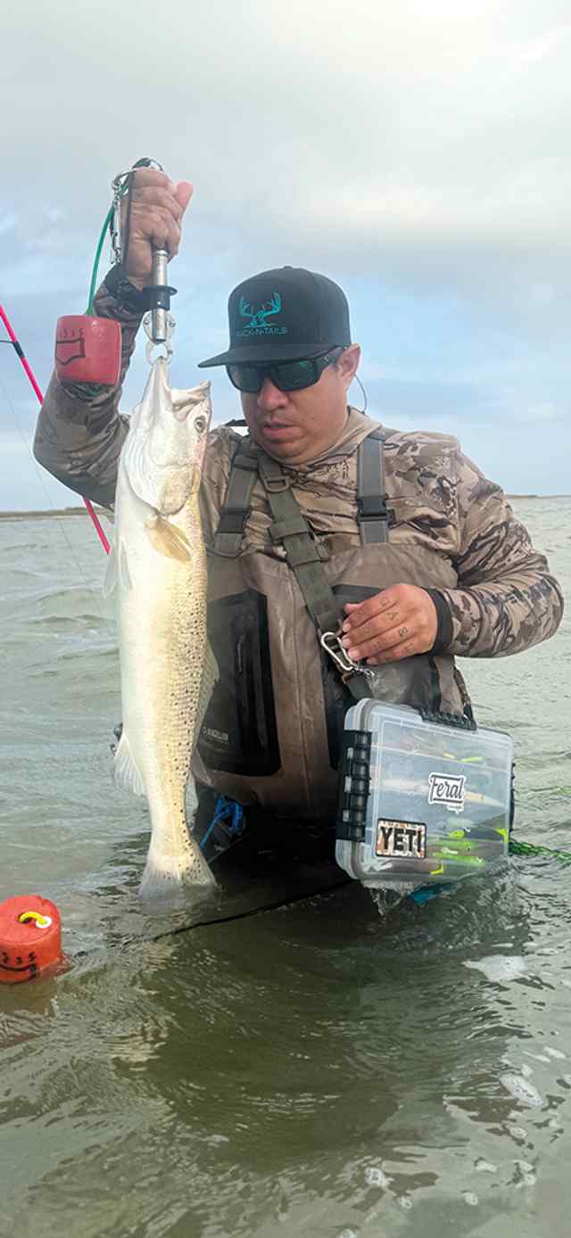 Robert Alaniz Port Mansfield - 28" trout