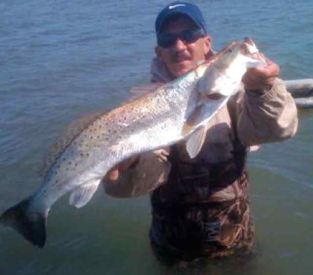 Allen Hill Matagorda
29” 8lb trout