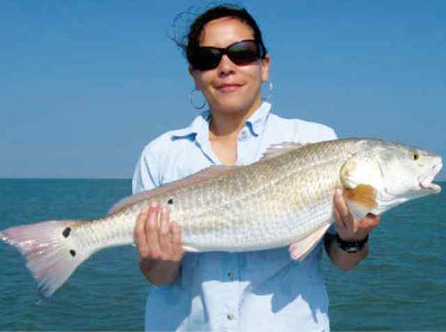 Victoria Ortiz Laguna Madre
31" redfish