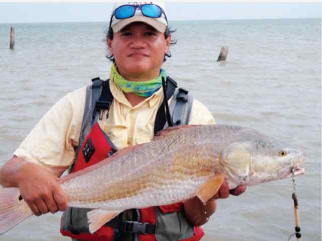 Allen Tiong Holly Beach
33.5" redfish