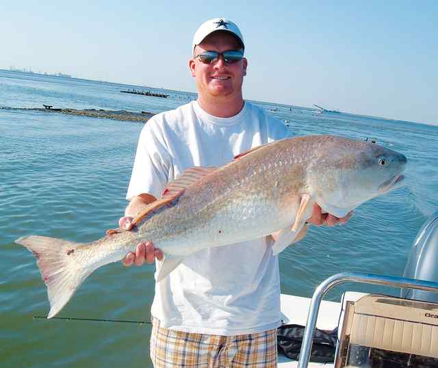 Hunter Welch Galveston Bay
39" redfish