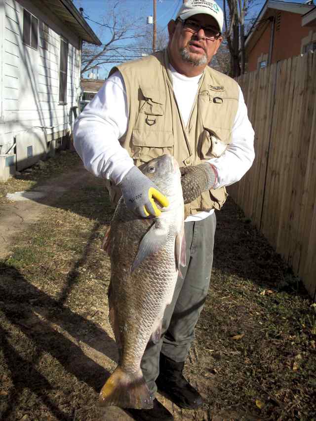 Domingo Urdiales Laguna Madre36&quot; drum