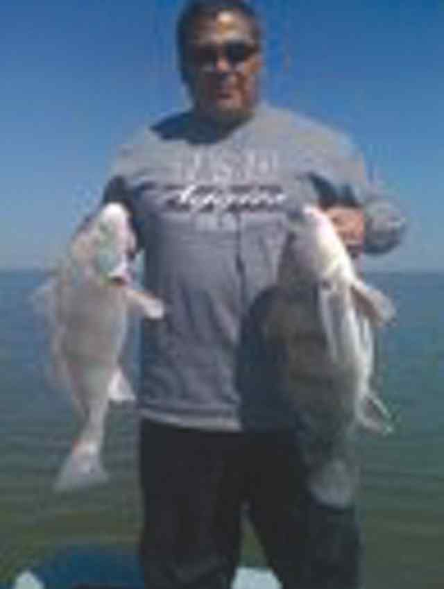 Dino Gutierrez Baffin Bay26&quot; &amp; 27&quot; drums