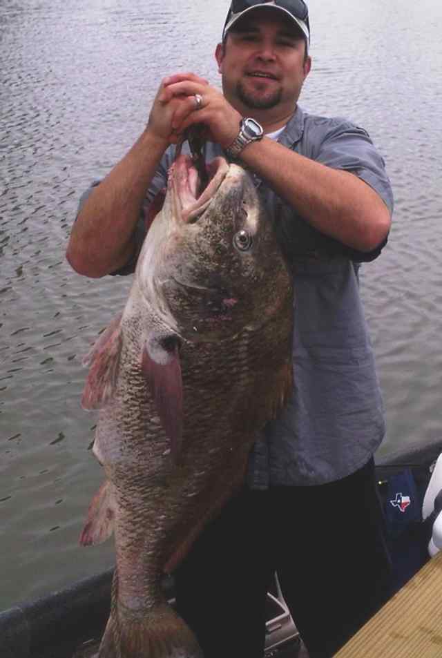 Dax Riley 43&quot; 32+lb drum CPR