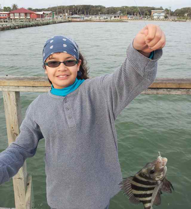 Loren Cristelle Alonzo Rockport12&quot; sheepshead