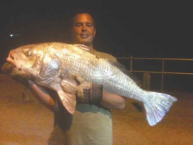 Chris Farney Palacios42&quot; black drum
