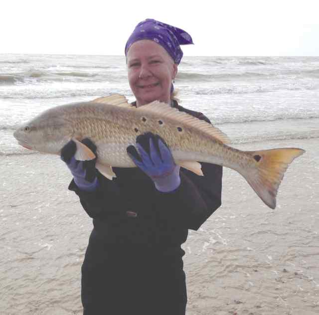 Sue Geraldi Rollover Pass30&quot; redfish